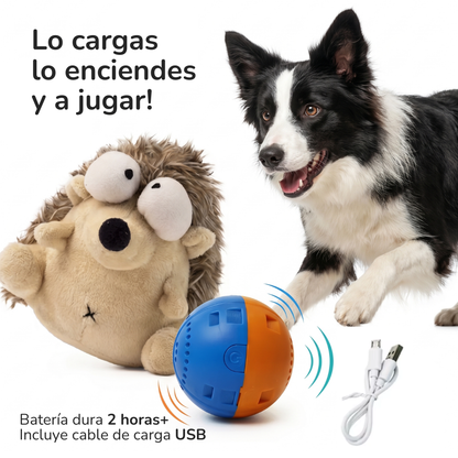 WigglyPal Juguete Interactivo con Rebote para Perros