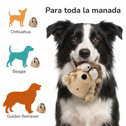 WigglyPal Juguete Interactivo con Rebote para Perros